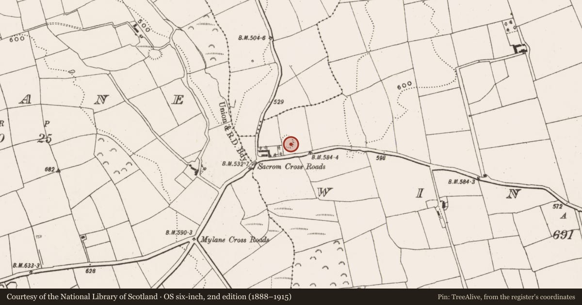 Ordnance Survey six-inch map, 2nd edition (1888–1915) covering the location of Souterrain, Windsor, County Cork, with a pin at the register's coordinates