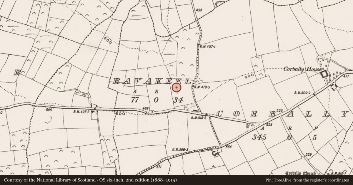 Ordnance Survey six-inch map, 2nd edition (1888–1915) covering the location of Burnt mound, Ravakeel, County Cork, with a pin at the register's coordinates