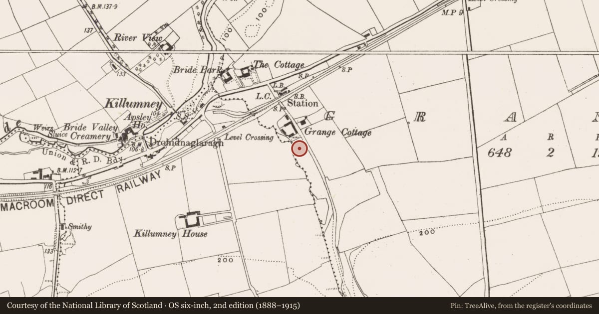 Ordnance Survey six-inch map, 2nd edition (1888–1915) covering the location of Slab-lined burial, Grange, County Cork, with a pin at the register's coordinates