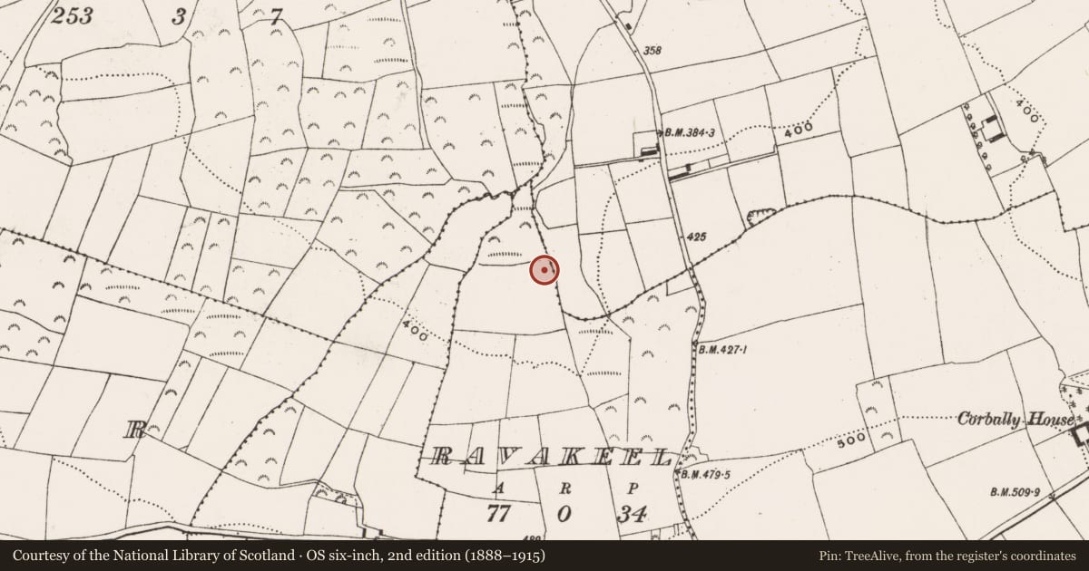 Ordnance Survey six-inch map, 2nd edition (1888–1915) covering the location of Burnt spread, Ravakeel, County Cork, with a pin at the register's coordinates