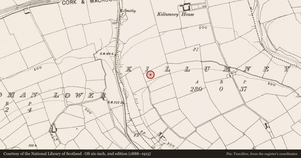 Ordnance Survey six-inch map, 2nd edition (1888–1915) covering the location of Souterrain, Killumney, County Cork, with a pin at the register's coordinates