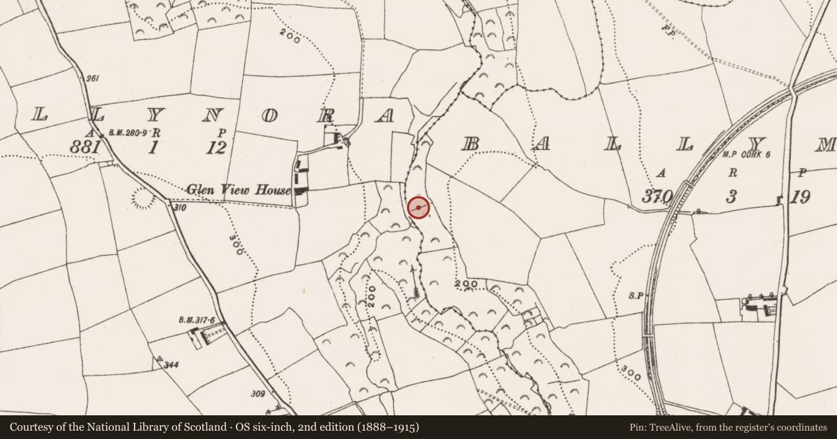 Ordnance Survey six-inch map, 2nd edition (1888–1915) covering the location of Mass-rock, Ballymah, County Cork, with a pin at the register's coordinates