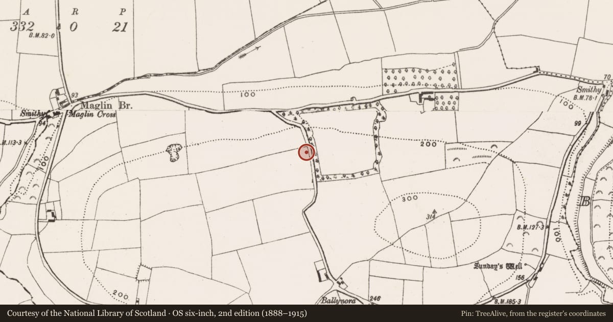 Ordnance Survey six-inch map, 2nd edition (1888–1915) covering the location of Church, Ballynora, County Cork, with a pin at the register's coordinates