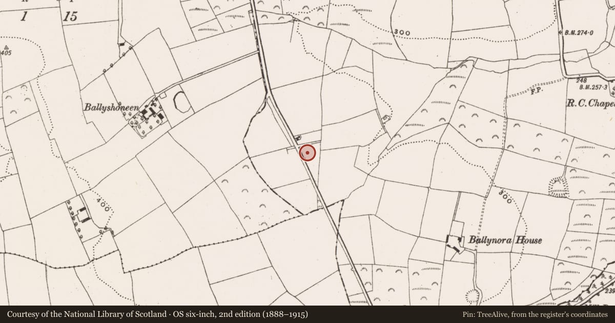 Ordnance Survey six-inch map, 2nd edition (1888–1915) covering the location of Cross-inscribed stone (present location), Ballynora, County Cork, with a pin at the register's coordinates