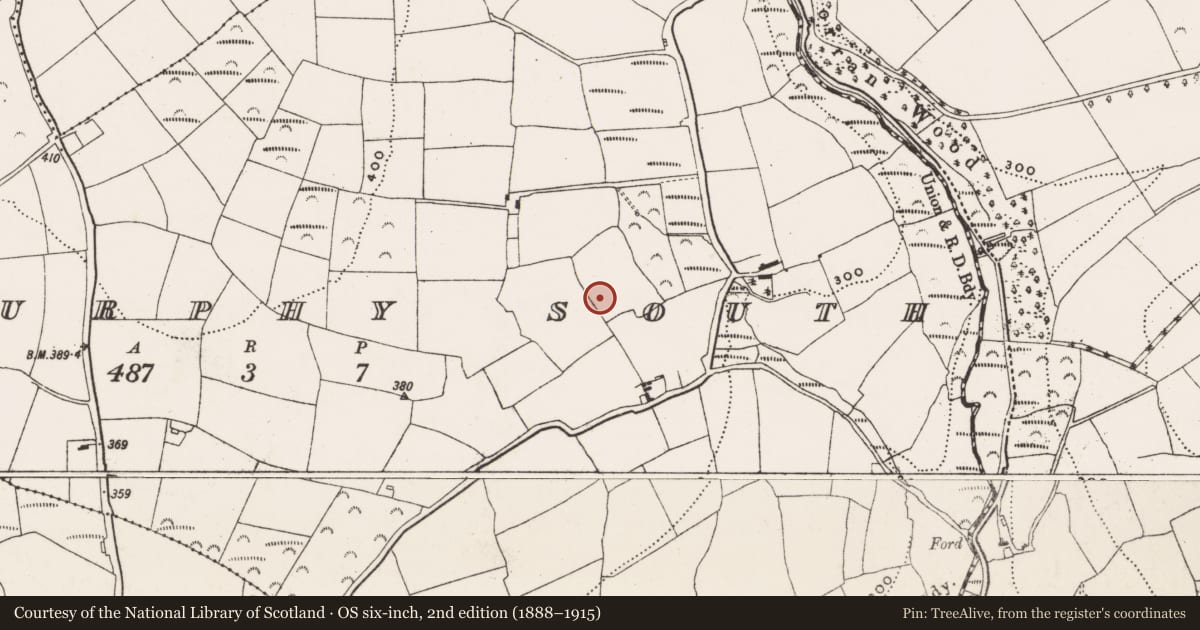 Ordnance Survey six-inch map, 2nd edition (1888–1915) covering the location of Enclosure, Ballymurphy South, County Cork, with a pin at the register's coordinates