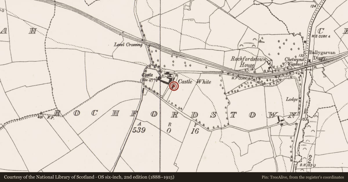 Ordnance Survey six-inch map, 2nd edition (1888–1915) covering the location of Armorial plaque (present location), Rochfordstown, County Cork, with a pin at the register's coordinates