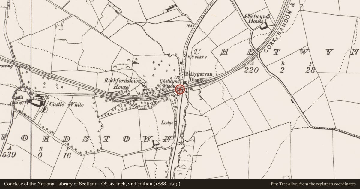 Ordnance Survey six-inch map, 2nd edition (1888–1915) covering the location of Railway bridge, Chetwynd, Rochfordstown, County Cork, with a pin at the register's coordinates