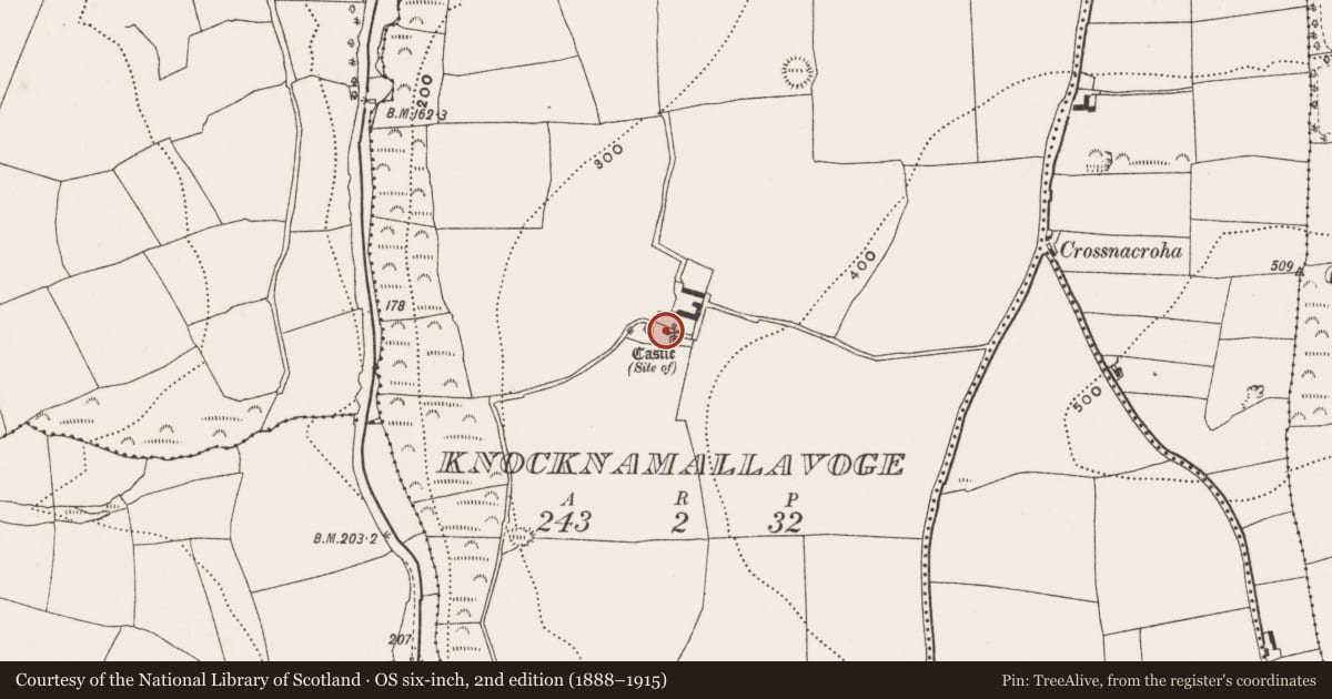 Ordnance Survey six-inch map, 2nd edition (1888–1915) covering the location of Castle - unclassified, Knocknamallavoge, County Cork, with a pin at the register's coordinates