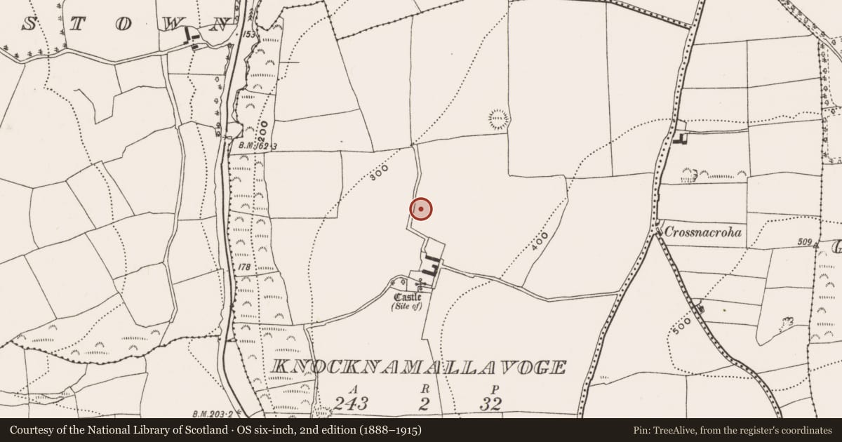 Ordnance Survey six-inch map, 2nd edition (1888–1915) covering the location of Fulacht fia, Knocknamallavoge, County Cork, with a pin at the register's coordinates