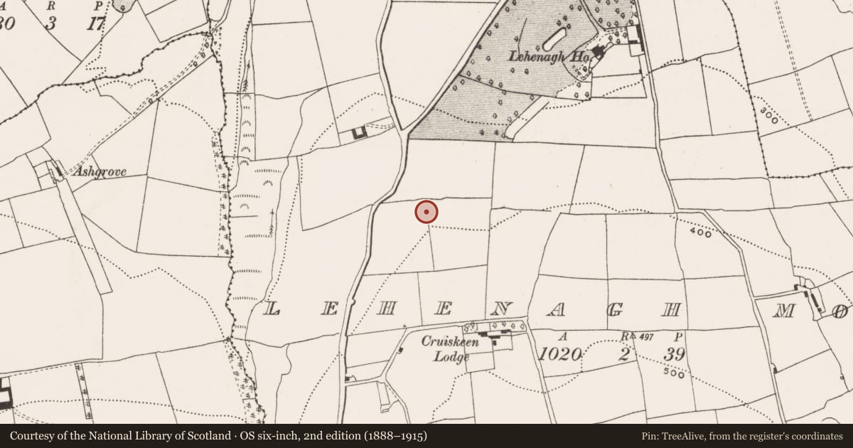 Ordnance Survey six-inch map, 2nd edition (1888–1915) covering the location of Enclosure, Lehenaghmore, County Cork, with a pin at the register's coordinates