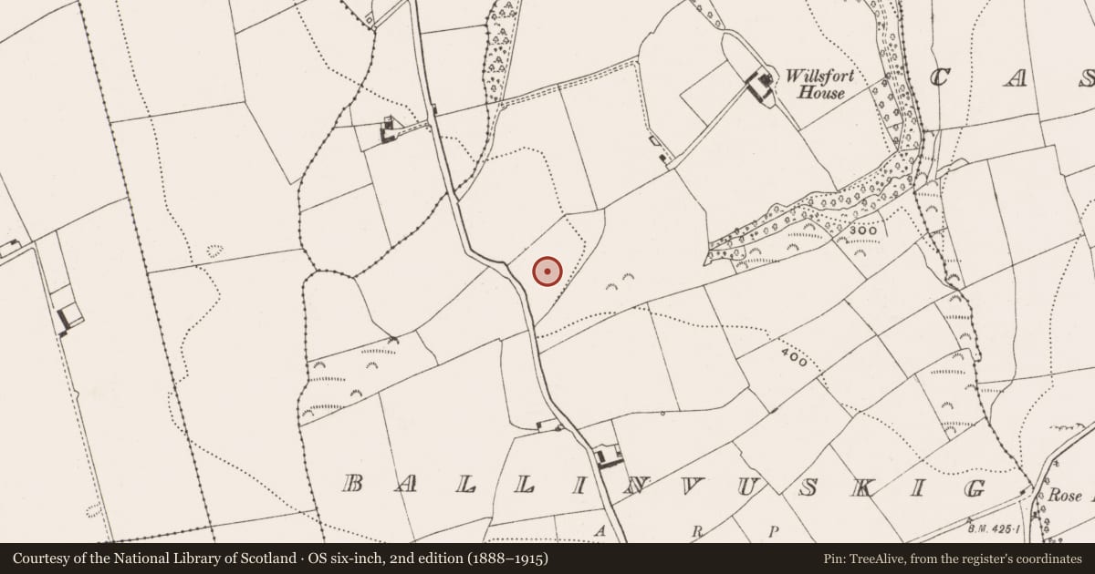 Ordnance Survey six-inch map, 2nd edition (1888–1915) covering the location of Church, Ballinvuskig, County Cork, with a pin at the register's coordinates