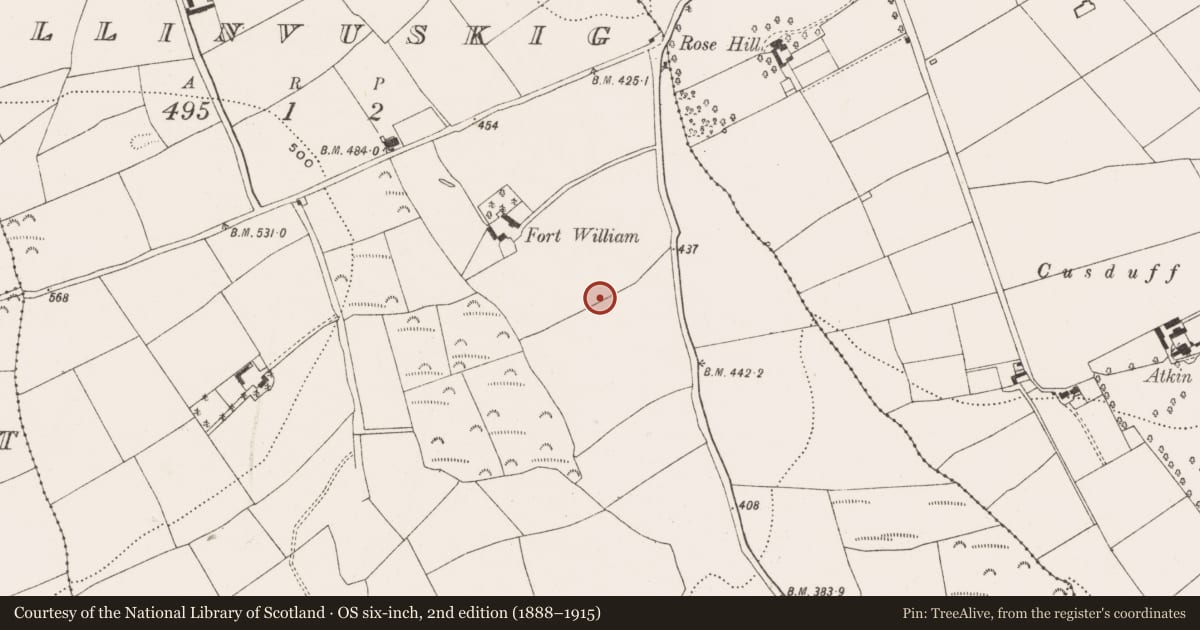 Ordnance Survey six-inch map, 2nd edition (1888–1915) covering the location of Ringfort - rath, Ballinvuskig, County Cork, with a pin at the register's coordinates