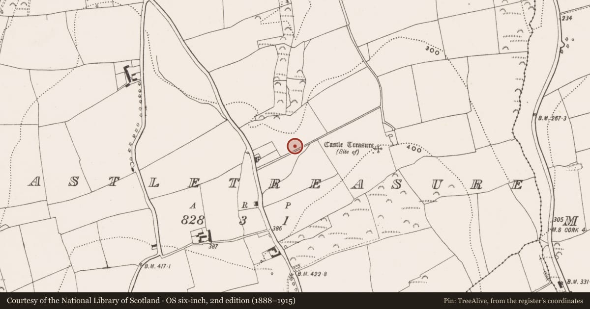 Ordnance Survey six-inch map, 2nd edition (1888–1915) covering the location of Ringfort - rath, Castletreasure, County Cork, with a pin at the register's coordinates