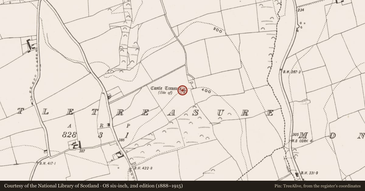Ordnance Survey six-inch map, 2nd edition (1888–1915) covering the location of Castle - unclassified, Castletreasure, County Cork, with a pin at the register's coordinates