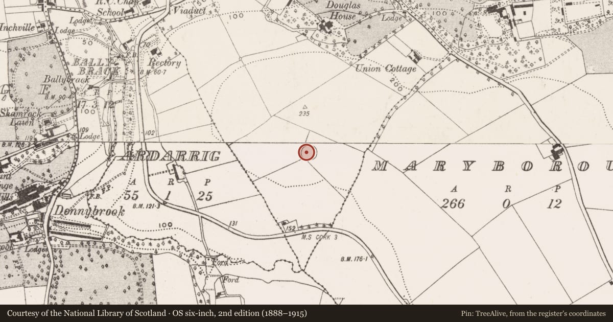 Ordnance Survey six-inch map, 2nd edition (1888–1915) covering the location of Ringfort - rath, Douglas, County Cork, with a pin at the register's coordinates