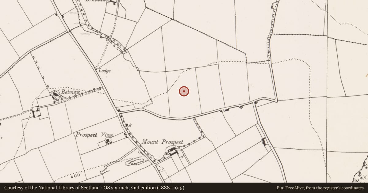 Ordnance Survey six-inch map, 2nd edition (1888–1915) covering the location of Ringfort - rath, Moneygurney, County Cork, with a pin at the register's coordinates