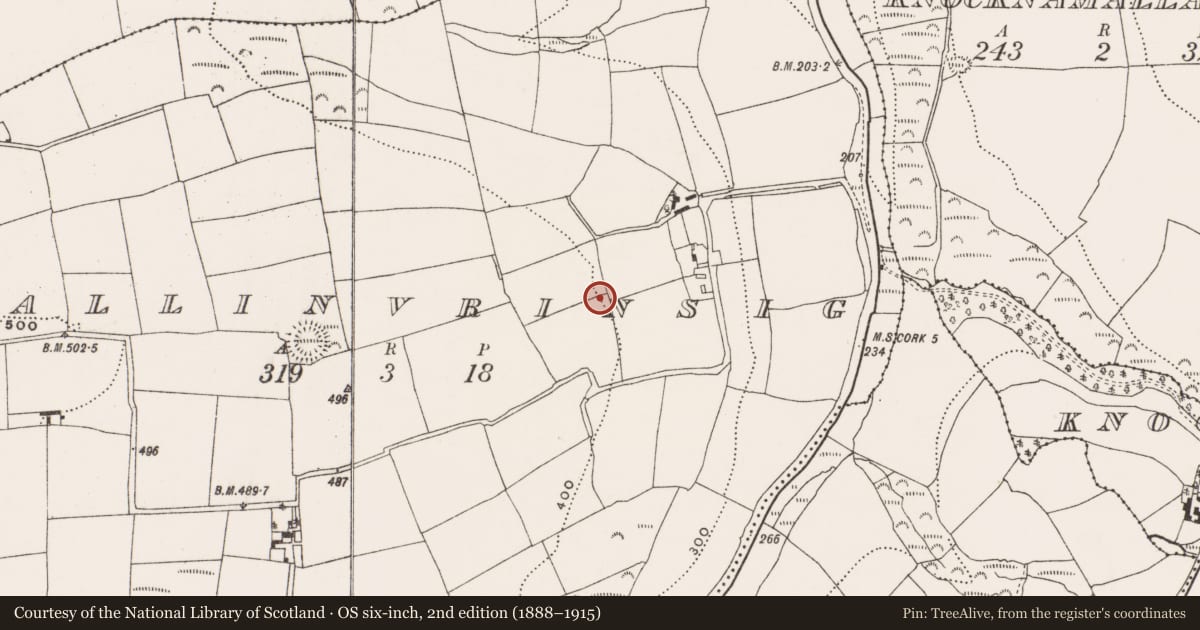 Ordnance Survey six-inch map, 2nd edition (1888–1915) covering the location of Fulacht fia, Ballinvrinsig, County Cork, with a pin at the register's coordinates