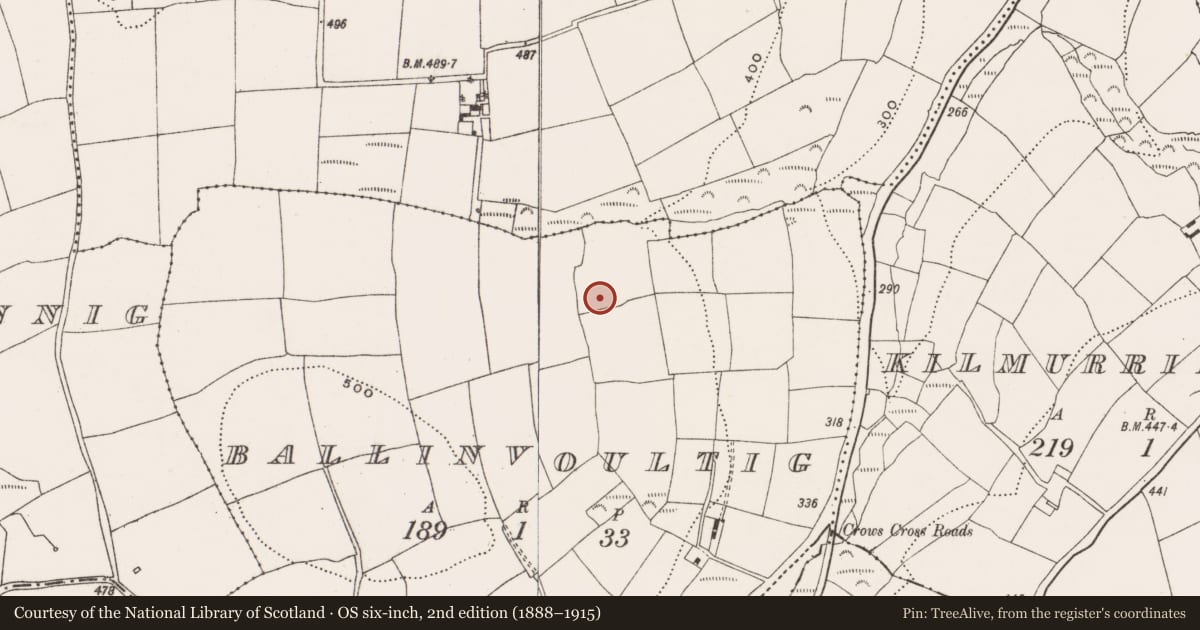 Ordnance Survey six-inch map, 2nd edition (1888–1915) covering the location of Enclosure, Ballinvoultig, County Cork, with a pin at the register's coordinates