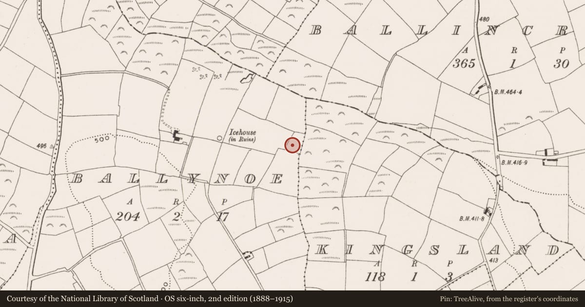 Ordnance Survey six-inch map, 2nd edition (1888–1915) covering the location of Enclosure, Ballynoe, County Cork, with a pin at the register's coordinates