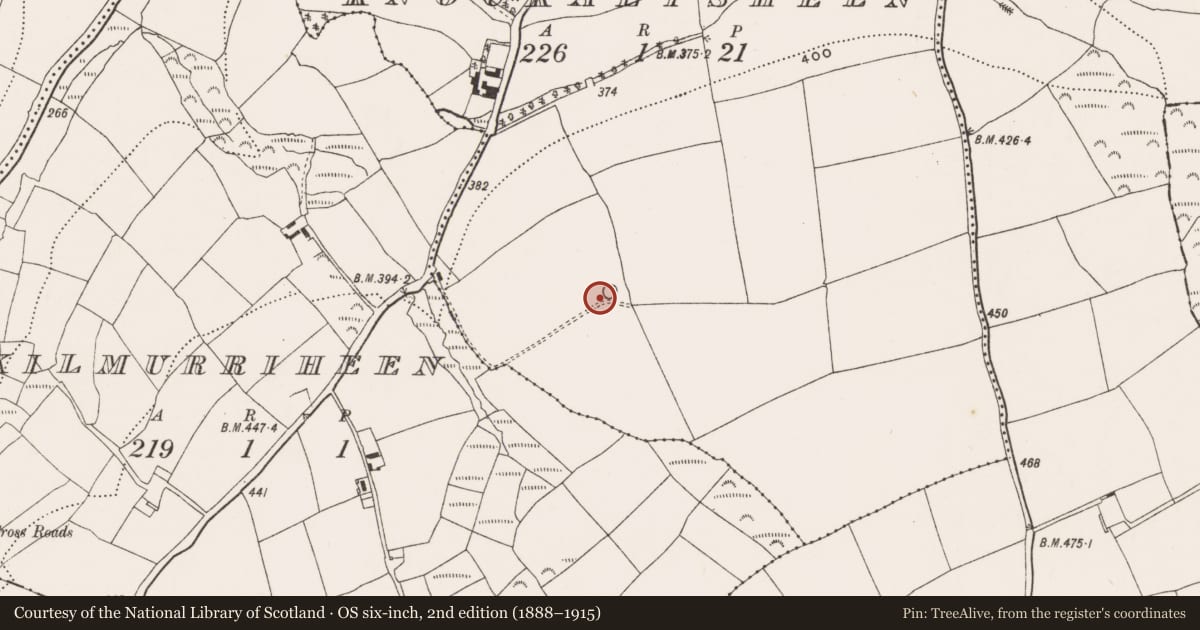 Ordnance Survey six-inch map, 2nd edition (1888–1915) covering the location of Ringfort - rath, Knockalisheen, County Cork, with a pin at the register's coordinates