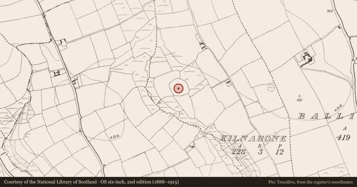 Ordnance Survey six-inch map, 2nd edition (1888–1915) covering the location of Enclosure, Kilnahone, County Cork, with a pin at the register's coordinates