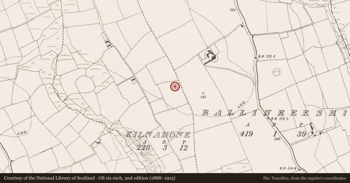 Ordnance Survey six-inch map, 2nd edition (1888–1915) covering the location of Ringfort - rath, Kilnahone, County Cork, with a pin at the register's coordinates