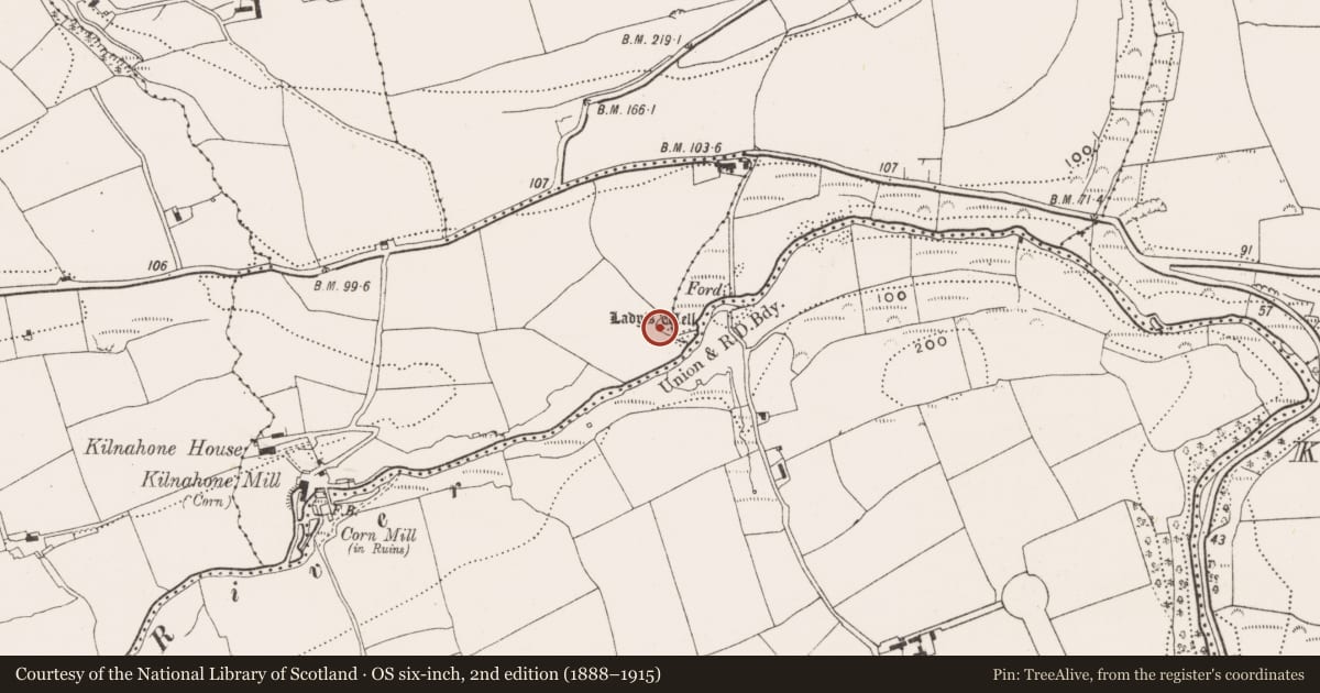 Ordnance Survey six-inch map, 2nd edition (1888–1915) covering the location of Ritual site - holy well, Kilnahone, County Cork, with a pin at the register's coordinates