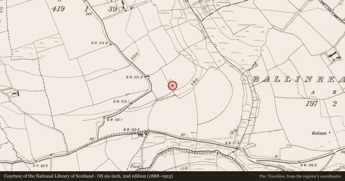 Ordnance Survey six-inch map, 2nd edition (1888–1915) covering the location of Ringfort - rath, Ballinreeshig, County Cork, with a pin at the register's coordinates