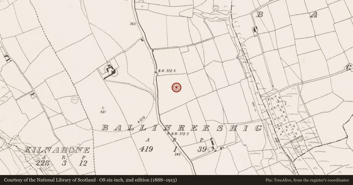 Ordnance Survey six-inch map, 2nd edition (1888–1915) covering the location of Ringfort - rath, Ballinreeshig, County Cork, with a pin at the register's coordinates