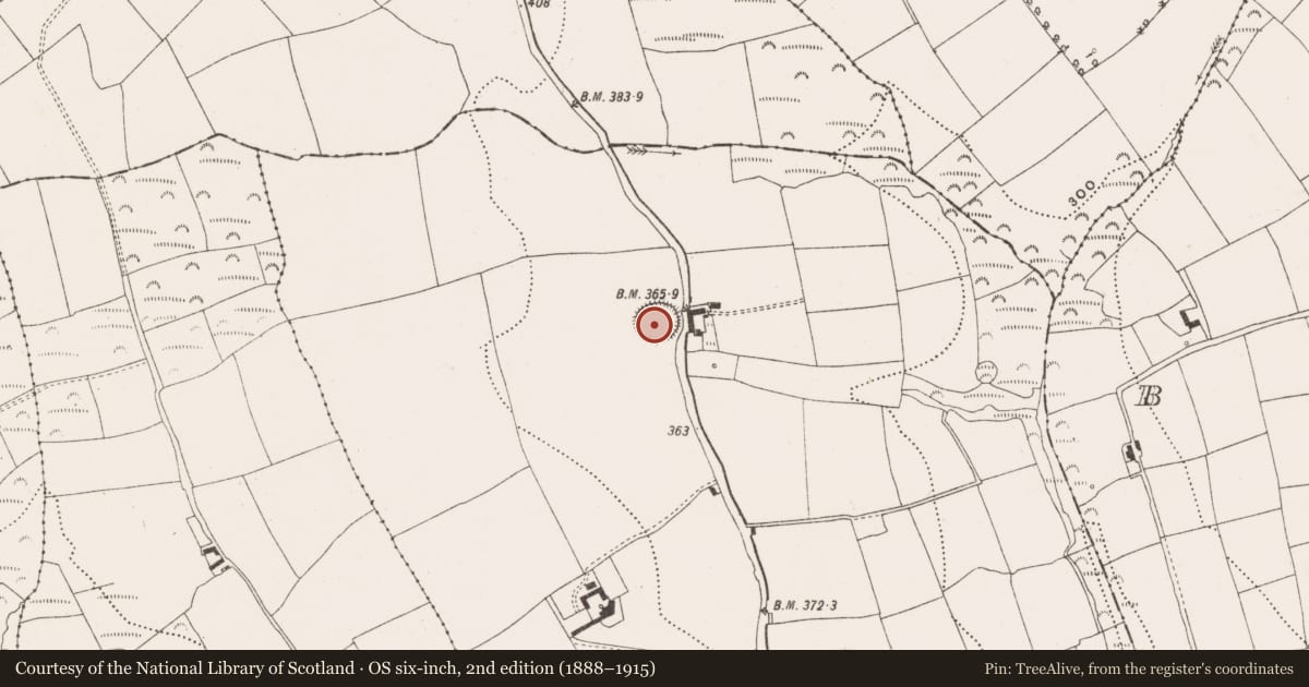 Ordnance Survey six-inch map, 2nd edition (1888–1915) covering the location of Ringfort - rath, Ballinreeshig, County Cork, with a pin at the register's coordinates