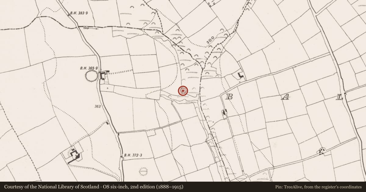 Ordnance Survey six-inch map, 2nd edition (1888–1915) covering the location of Ringfort - rath, Ballinreeshig, County Cork, with a pin at the register's coordinates