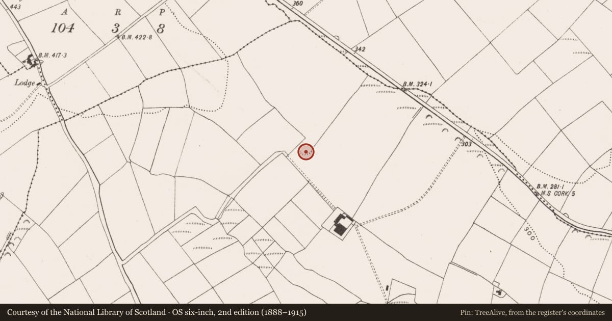Ordnance Survey six-inch map, 2nd edition (1888–1915) covering the location of Ringfort - rath, Ballinrea, County Cork, with a pin at the register's coordinates