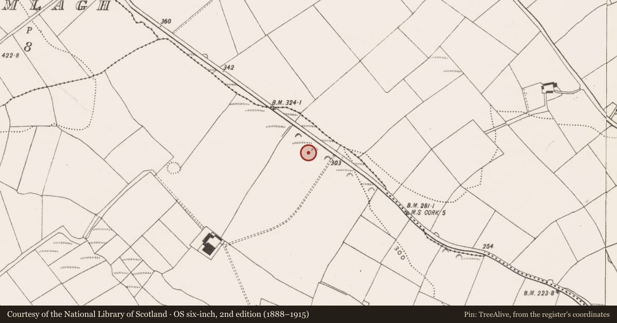 Ordnance Survey six-inch map, 2nd edition (1888–1915) covering the location of Fulacht fia, Ballinrea, County Cork, with a pin at the register's coordinates