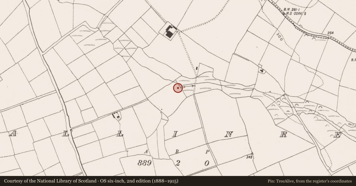Ordnance Survey six-inch map, 2nd edition (1888–1915) covering the location of Fulacht fia, Ballinrea, County Cork, with a pin at the register's coordinates