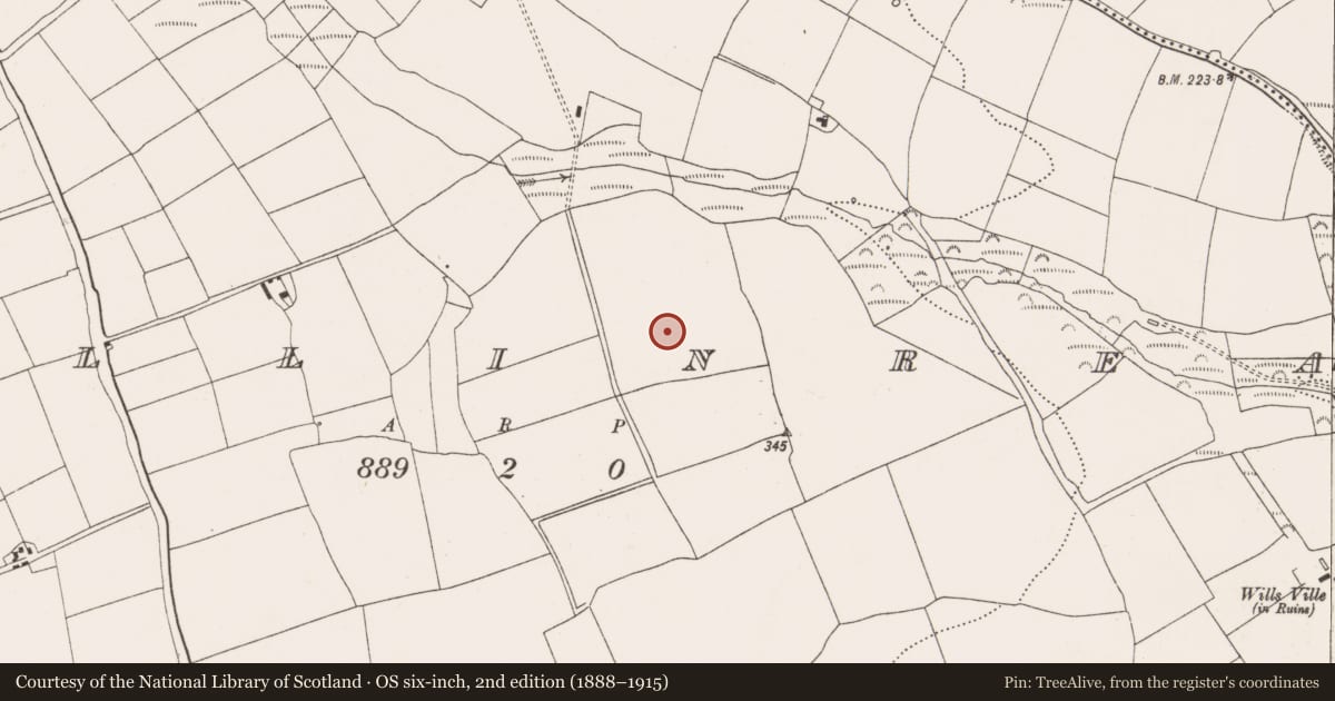 Ordnance Survey six-inch map, 2nd edition (1888–1915) covering the location of Ringfort - rath, Ballinrea, County Cork, with a pin at the register's coordinates