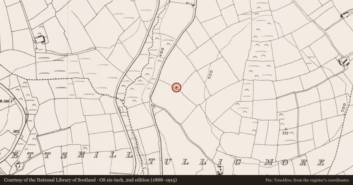 Ordnance Survey six-inch map, 2nd edition (1888–1915) covering the location of Ringfort - rath, Tullig More, County Cork, with a pin at the register's coordinates