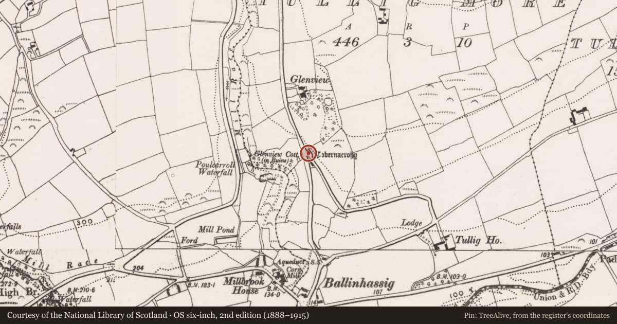 Ordnance Survey six-inch map, 2nd edition (1888–1915) covering the location of Ritual site - holy well, Tullig More, County Cork, with a pin at the register's coordinates