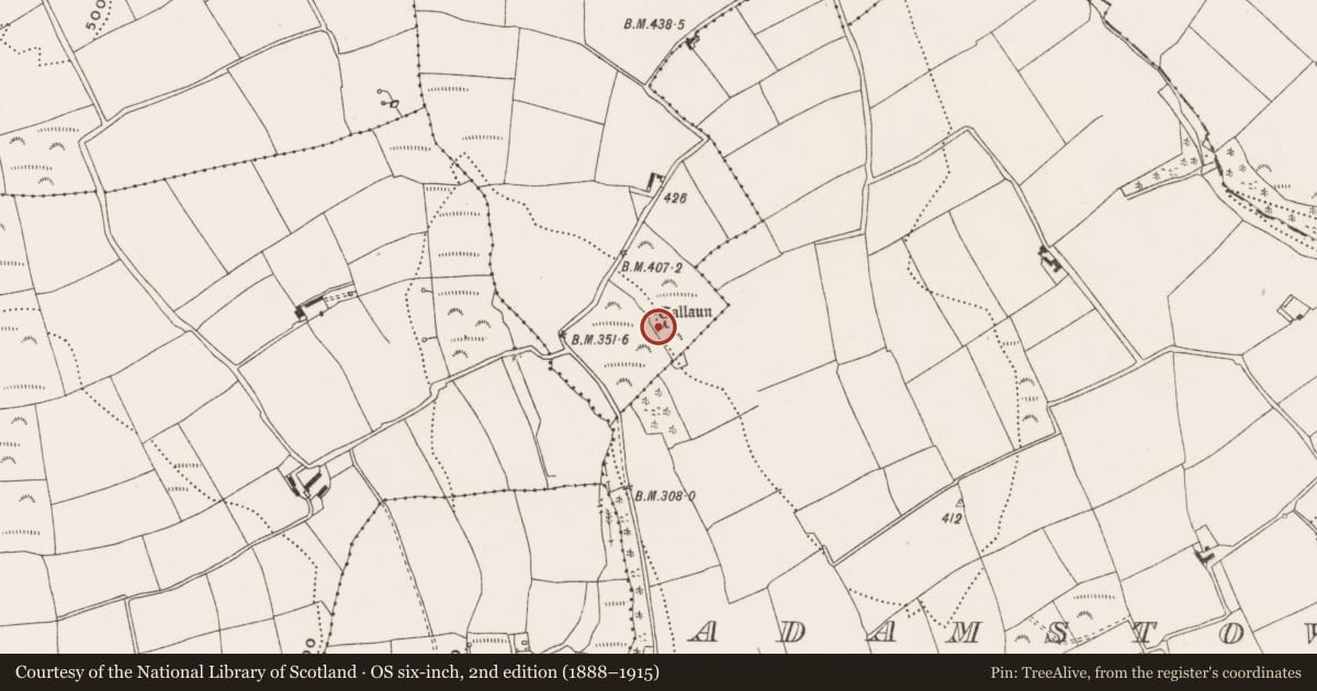 Ordnance Survey six-inch map, 2nd edition (1888–1915) covering the location of Standing stone, Kingsland, County Cork, with a pin at the register's coordinates