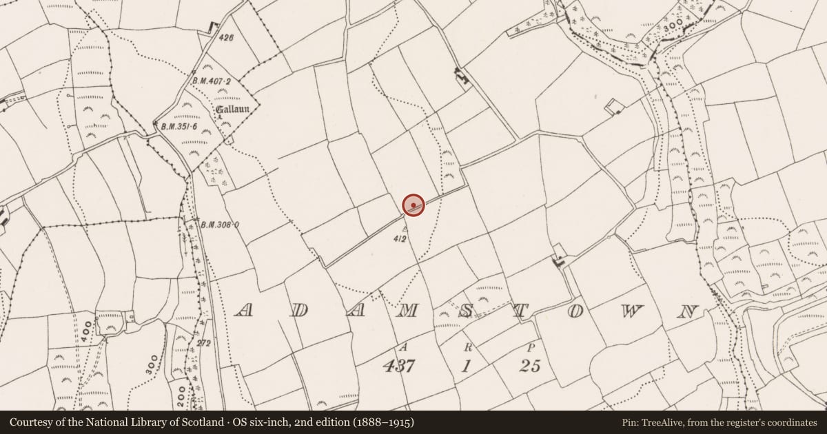 Ordnance Survey six-inch map, 2nd edition (1888–1915) covering the location of Enclosure, Adamstown, County Cork, with a pin at the register's coordinates