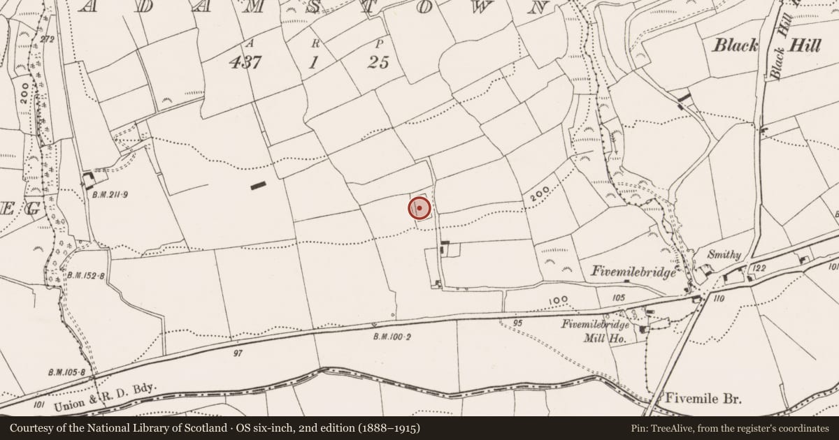 Ordnance Survey six-inch map, 2nd edition (1888–1915) covering the location of Moated site, Adamstown, County Cork, with a pin at the register's coordinates