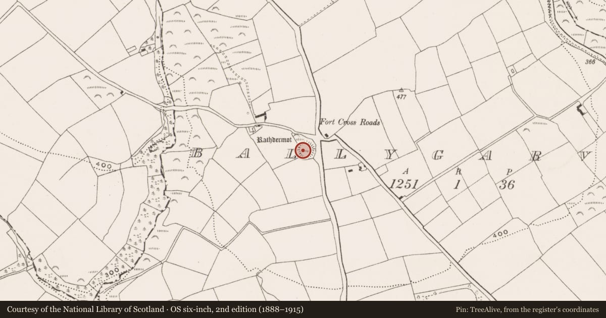 Ordnance Survey six-inch map, 2nd edition (1888–1915) covering the location of Ringfort - rath, Ballygarvan, County Cork, with a pin at the register's coordinates