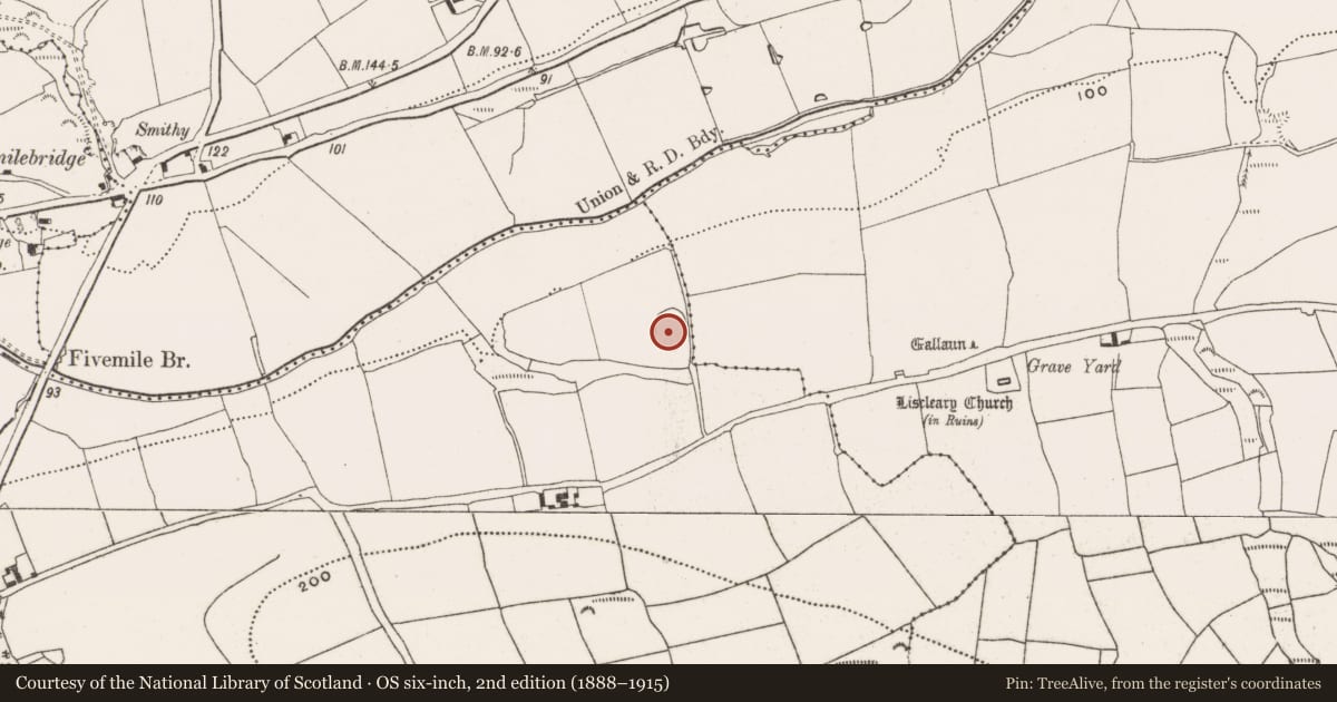 Ordnance Survey six-inch map, 2nd edition (1888–1915) covering the location of Ringfort - rath, Ballinphelic, County Cork, with a pin at the register's coordinates