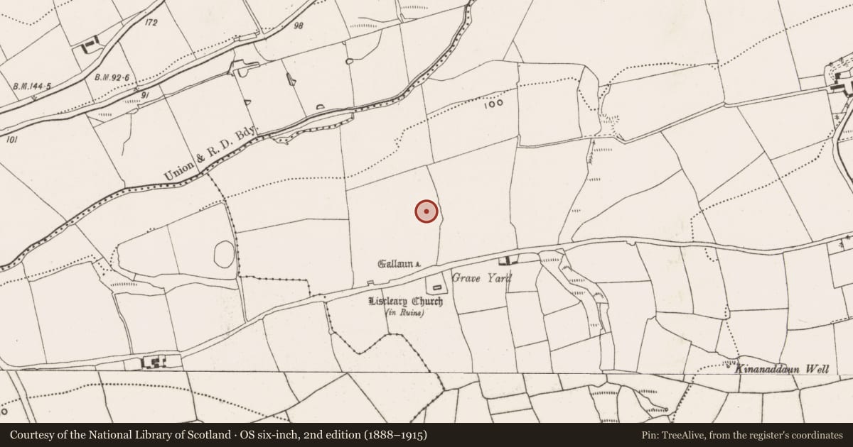 Ordnance Survey six-inch map, 2nd edition (1888–1915) covering the location of Ringfort - rath, Meadstown, County Cork, with a pin at the register's coordinates