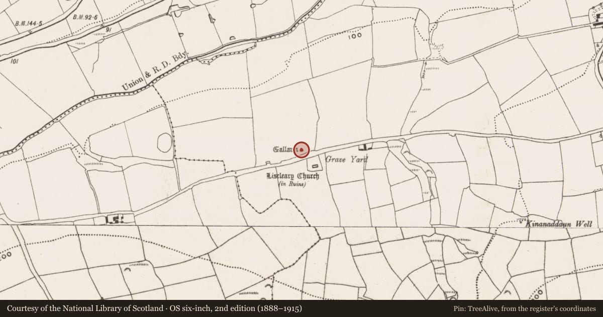 Ordnance Survey six-inch map, 2nd edition (1888–1915) covering the location of Standing stone, Meadstown, County Cork, with a pin at the register's coordinates