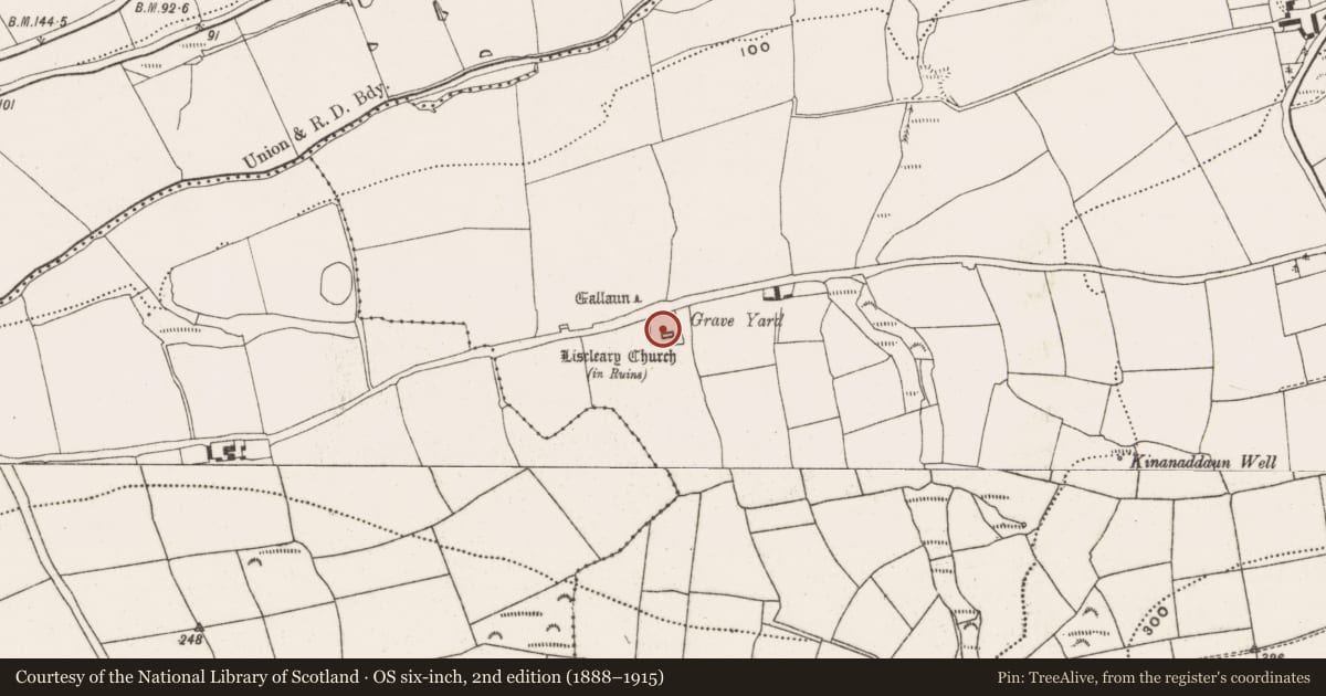 Ordnance Survey six-inch map, 2nd edition (1888–1915) covering the location of Graveyard, Meadstown, County Cork, with a pin at the register's coordinates