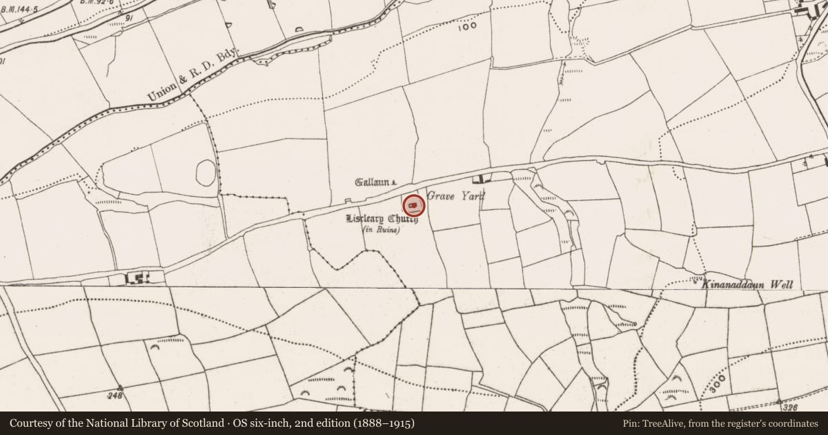 Ordnance Survey six-inch map, 2nd edition (1888–1915) covering the location of Church, Meadstown, County Cork, with a pin at the register's coordinates