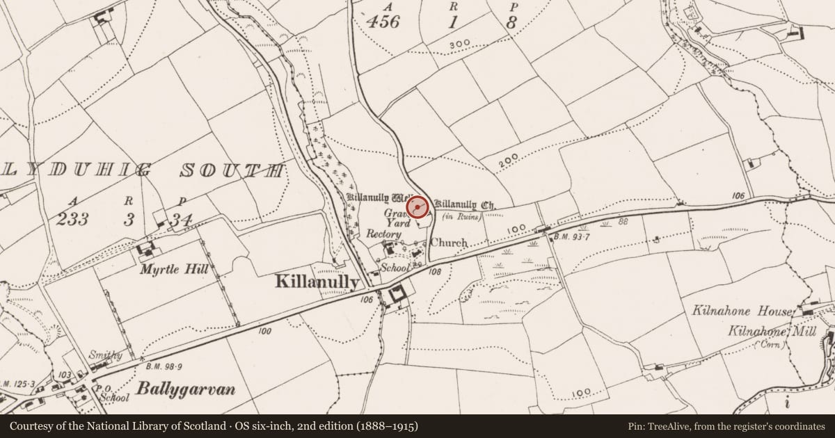 Ordnance Survey six-inch map, 2nd edition (1888–1915) covering the location of Graveyard, Killanully, County Cork, with a pin at the register's coordinates