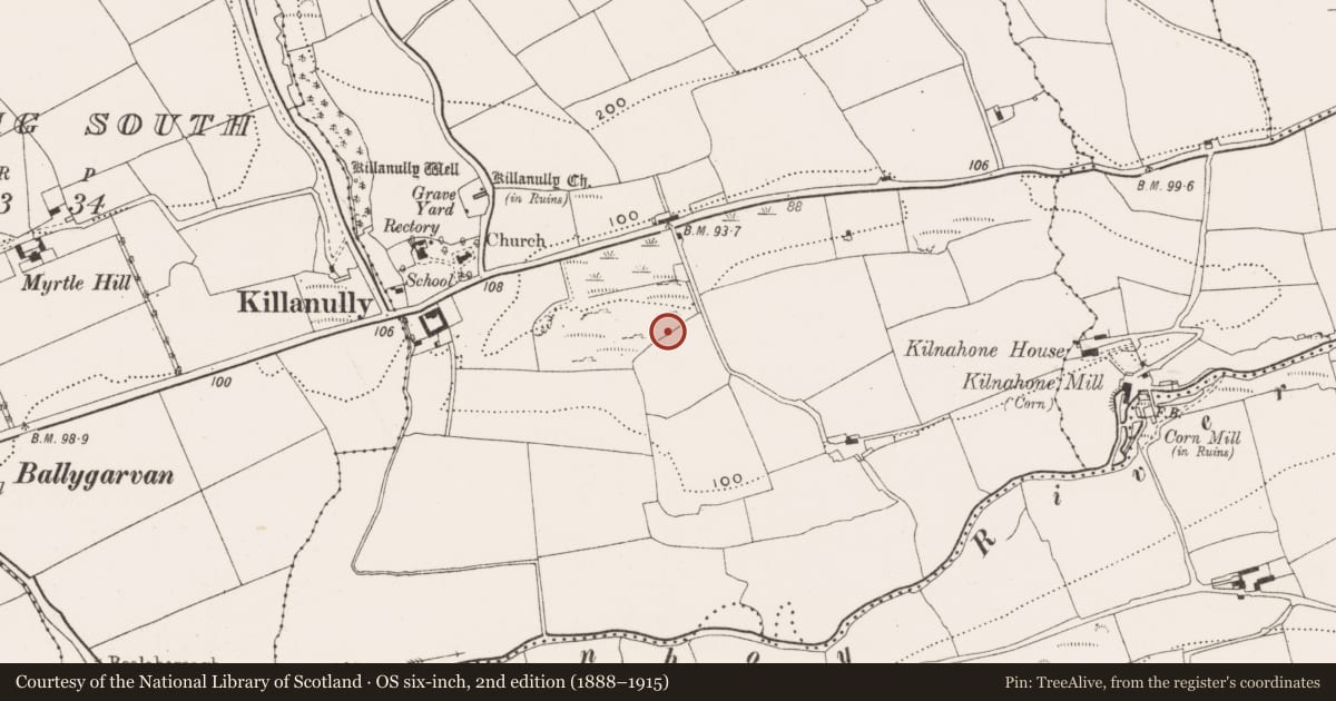 Ordnance Survey six-inch map, 2nd edition (1888–1915) covering the location of Ringfort - rath, Killanully, County Cork, with a pin at the register's coordinates