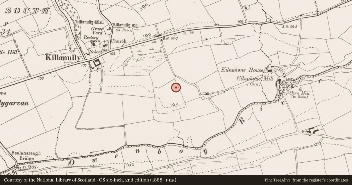 Ordnance Survey six-inch map, 2nd edition (1888–1915) covering the location of Enclosure, Killanully, County Cork, with a pin at the register's coordinates