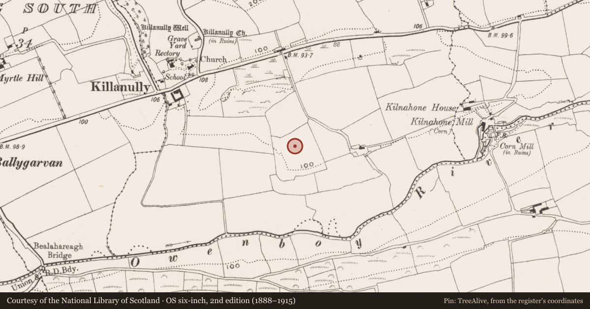 Ordnance Survey six-inch map, 2nd edition (1888–1915) covering the location of Ringfort - rath, Killanully, County Cork, with a pin at the register's coordinates